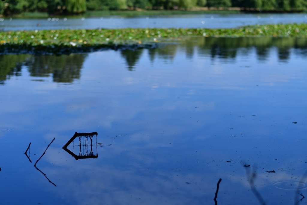 2018-08-04 Nottingham/Wollaton Hall/DSC_3843.JPG